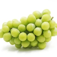 Fabrieksleverancier Voedingsmiddelkwaliteit Zuiver Natuurlijk Hoogzuiver 98% Qingti Fruitextract Poeder met Vitamine