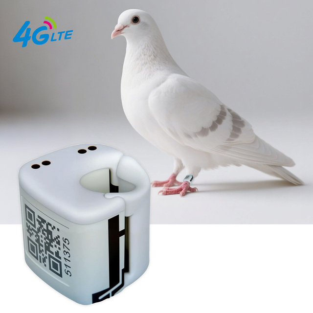 GPS Tracker Racing Pigeons IP67 Waterproof 4G Android Birds Small Volume Beidou Accurate Positioning Pigeons Tracker Racing