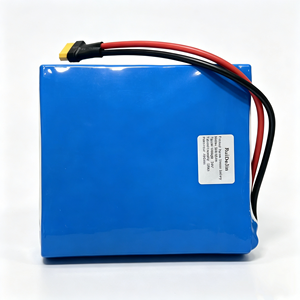 แบตเตอรี่ลิเธียมไลฟ์โปโฟร์แบบกำหนดเอง 12v/24v พร้อมฟิล์มสีน้ำเงิน ชุดแบตเตอรี่พร้อมจอแสดงผลดิจิตอลและขั้วต่อ DC - Product Image 6