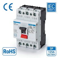 Disjoncteur à boîtier moulé solaire photovoltaïque Yycore YYM1-125PV 3P 125A DC 750V DC MCCB IEC 60947 2 CE