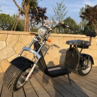 Avrupa Depo Şehri Coco E-Scooter Büyük Tekerlekli Çıkarılabilir Bataryalı Elektrikli İki Tekerlekli Araç