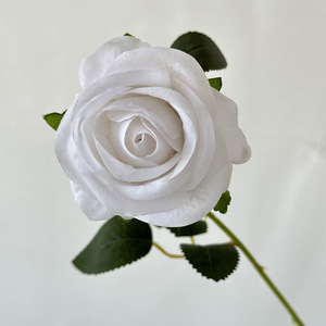 Bán Buôn Nhung Rose Flower Duy Nhất Gốc 50Cm Nhân Tạo Tăng Đỏ Trắng Đen Cho Đám Cưới Nhà Valentine Của Ngày Quà Tặng DIY Trang Trí Nội Thất - Product Image 5