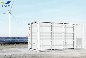 TSTYNICE TSTY-215KWh <b>Rack</b>-mounted Microgrid Lithium Energy Storage Cabinet Photovoltaic Offgrid 215KWh Charging Station IP55 - Product Image 6