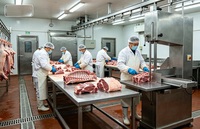 Peralatan Pengolahan Daging Semi-Otomatis Efisiensi Tinggi Mesin Pemotong Tulang Babi Gergaji Tulang Pemotong Iga 500-800kg/jam
