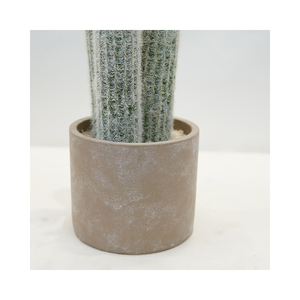Mini Real Touch <span class=keywords><strong>piante</strong></span> <span class=keywords><strong>grasse</strong></span> verdi in vaso <span class=keywords><strong>con</strong></span> fiore per la decorazione della scrivania pianta di <span class=keywords><strong>Cactus</strong></span> artificiale - Product Image 6