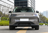 Leapmotor A10 BEV 505 LiDAR Versi Ultimate 2026, SUV Subkompak Listrik Murni Jarak Jauh, Mobil EV Pintar