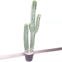 Cactus artificiel Bonsaï en forme de pilier, arbustes écologiques, durables, aspect naturel, utilisation intérieure/extérieure, décoration d'hôtel, 90 cm