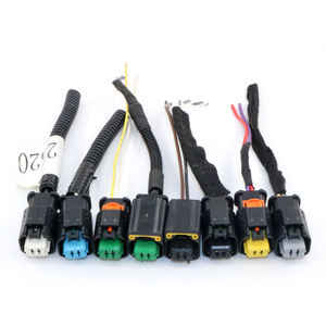 Bitte geben Sie Bilder an EV 2-poliger Auto-Stecker und-Buchse Kabelbaum des Funk-Einspritz sensors für einen Nissan Versa 2008 - Product Image 2