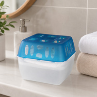 Boîte déshumidificatrice OEM 450g avec emballage personnalisé et options de structure du produit