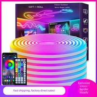 Bande lumineuse néon LED étanche la plus vendue à l'international avec contrôle par application à distance, bande néon flexible IP65 24V RGB
