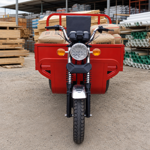 Triciclo de Gasolina para Mensajería con Caja de Acero, Vehículo de Reparto de Tres Ruedas con Motor de Gasolina, Largo Alcance para Granja - Product Image 2