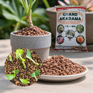 <span class=keywords><strong>Sustrato</strong></span> nutritivo duro y carnoso <span class=keywords><strong>de</strong></span> suelo <span class=keywords><strong>de</strong></span> jade original importado <span class=keywords><strong>de</strong></span> Japón para línea <span class=keywords><strong>de</strong></span> jardinería 3 - Product Image 1