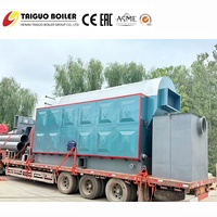 Ketel Uap Biomassa 12 Ton Berbahan Bakar Batubara Efisiensi Tinggi dengan Rangka Rantai Otomatis, Generator Uap Industri untuk Penggunaan Industri