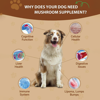 Friandises à mâcher pour chiens à base de champignons turcs : Mélange de Crinière de lion, Reishi, Cordyceps, Shiitake – Pour la santé des articulations, de la colonne vertébrale, digestive et hépatique, avec Chardon-Marie