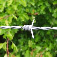 Fil de fer barbelé galvanisé haute résistance en gros d'usine, diamètres 1,6 mm, 2,0 mm, 2,5 mm pour la protection des prisons