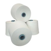 Fil 60% Coton 40% Acrylique 16S/2 Filé à la Cotonnerie, Mélange Coton Acrylique Personnalisé OEM ODM