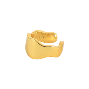 ROXI - Pendientes de Clip de Latón al por Mayor, Simples, Brillantes, Irregulares, sin Perforaciones, Estilo Moderno - Product Image 1