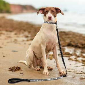 Groothandel Mode Hond & Kat Training Loden Riem Set Sterk Heavy Duty Touw Met Oplaadbare Lichte <span class=keywords><strong>Cartoon</strong></span> Stijl Hondenhalsband - Product Image 2