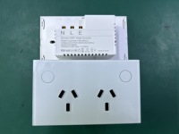 AU Standard Touch Sense Panneau de verre Double prise de courant Zigbee WiFi Prise murale Compatible Alexa Google Home Smart Socketv Saa