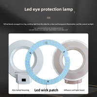 Lampe LED-1 pour salon de beauté, lumière froide pour tatouage, avec protection oculaire sans ombre pour les ongles, les sourcils et les cils