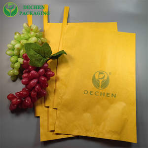 Custom Grape <strong>Protection</strong> <strong>Bags</strong> Manufacturers: <strong>Fruit</strong> Cover <strong>Bag</strong> Price Wholesale In Peru Chile - Product Image 1