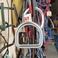 Sports de plein air en acier inoxydable anneau en D or pour boucle jouet porte-clés pour animaux de compagnie polyvalent Protection contre les chutes