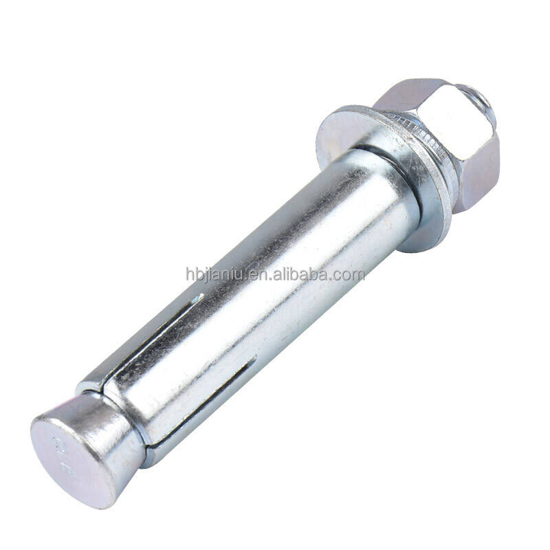 Expansive Anchor Bolt M6-M20 Galvanized Expansion Bolt