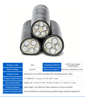 Pasokan Pabrik Kabel Listrik Inti Aluminium YJLV 0.6/1kV dengan Harga Terbaik