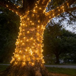 <span class=keywords><strong>ไฟ</strong></span> <span class=keywords><strong>LED</strong></span> <span class=keywords><strong>สาย</strong></span><span class=keywords><strong>ยาง</strong></span> 10 <span class=keywords><strong>เมตร</strong></span> <span class=keywords><strong>100</strong></span> ดวง กันน้ำ IP65 สำหรับภายนอกอาคาร ตกแต่งคริสต์มาส แสงวอร์มไวท์ ปรับความสว่างได้ ติดตั้งง่าย - Product Image 1