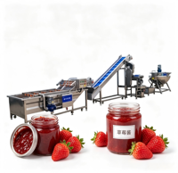 Op maat gemaakte jamproductiemachine, dat jamproductielijn, fruitjamproductielijn te koop