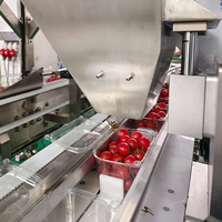 Machine de remplissage automatique de boîtes de fruits thermoscellables pour sacs de fraises, bleuets, tomates, cerises et emballages en papier