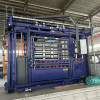Chute de contention robuste pour bovins avec système de capture automatique de la tête pour élevages et ranchs