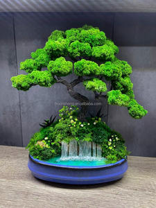 Glass Plant Terrarium Preserved <strong>Moss</strong> Micro-Landscape Preserved <strong>Moss</strong> Glass Terrarium for Home Garden Office Tabletop Decoration - Product Image 3