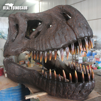 Répliques de fossiles de dinosaures artificiels pour exposition muséale, taille réelle, crâne de T-Rex