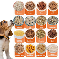 Assortiment de 29 Viandes OEM ODM, Snacks Lyophilisés 60g/100g/250g, Friandises en Conserve Riches en Protéines pour Toutes les Races de Chats et de Chiens