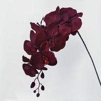 Ranting Anggrek Hitam Buatan M1012 Grosir, Bunga Sutra Phalaenopsis untuk Dekorasi Rumah Halloween, Latar Belakang Pernikahan Gotik