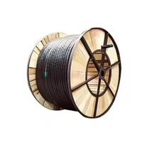 Fabrik-Großhandelspreis 2,5mm 4mm 6mm 10mm XLPE-isoliertes Kupfer-Stahl-Drahtkabel mit PVC-Ummantelung 0,6/1KV Stromkabel