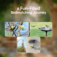 Willfine BK800, Observación Inteligente de Aves con Cámara 4K, Reconocimiento de Especies de Aves por IA