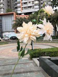 Fleurs artificielles en soie de couleur champagne LO-627, ton neutre, pour événements et centres de table DIY - Product Image 4