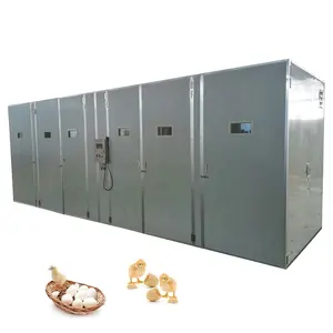 High Quality Chicken Egg Incubator Poultry Time-Saving Automatic Egg Incubator