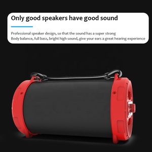 Đèn LED Âm Thanh Không Dây Cầm Tay Loa Định Hướng Với Chức Năng Micro Karaoke - Product Image 5