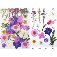 Kit de fleurs séchées sous vide, 40 pièces assorties pour journalisation, scrapbooking, fabrication de cartes, matériel artisanal