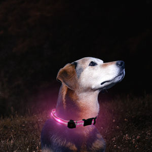 신상품 조절 가능 방수 친환경 UV 프린팅 클래식 배터리 포함 나일론 <span class=keywords><strong>LED</strong></span> 애완견 목줄 S-M-L 사이즈 - Product Image 2