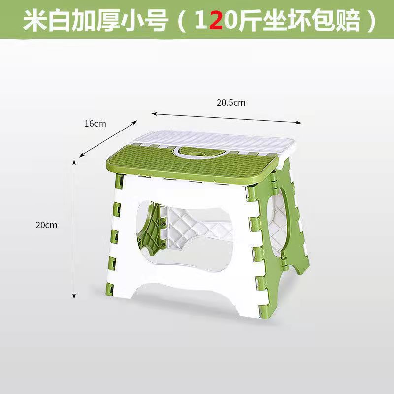 Épaissi, petite taille, vert et blanc, 20 cm de hauteur.