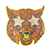 Grandes appliques brodées pour veste en jean : Patch Tigre à Paillettes, Lunettes Étoile, Léopard Rugissant, pour Décoration de Journée de Match