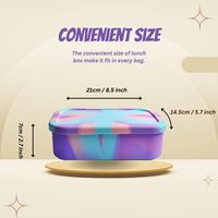 Boîte à lunch en silicone de qualité alimentaire. Compartimenté, scellé. Pour micro-ondes et réfrigérateur