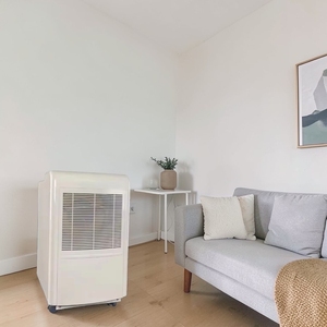 Deshumidificador DL para sala de estar con función de temporizador, pantalla LED de 2 dígitos y conector de drenaje externo - Product Image 1