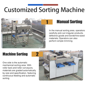 Fengxiang Dual Sorter 500-2000kg/h Vegetable Fruit Sorting Grading Machine Custom Roller Sorting Machine for Food Plant - Product Image 2