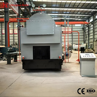 Chaudière à vapeur industrielle haute efficacité DZH 1-6T/H, alimentée aux déchets de bois, de coques de riz et de rafles de maïs, pour la production en rizerie