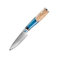 VG10 staal Damascus hars handvat ambidexter hoogglans afwerking vaatwasserbestendig milieuvriendelijk traditioneel koksmes